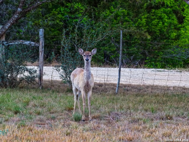 Image 18 of 43 For 348 Rocky Road
