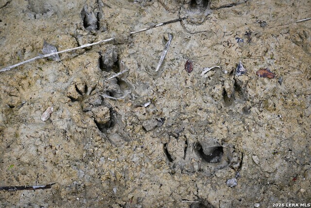 Image 19 of 43 For 348 Rocky Road