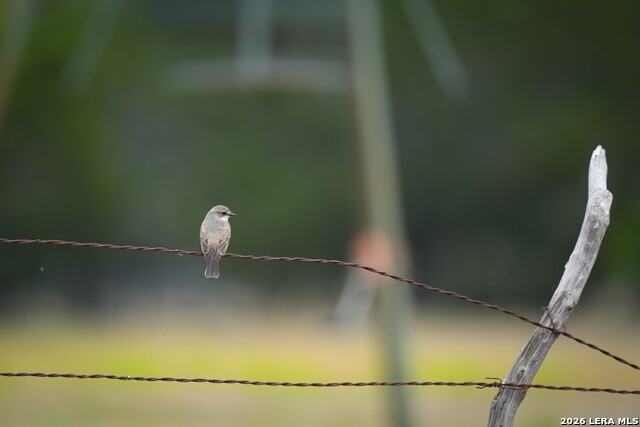 Image 20 of 43 For 348 Rocky Road