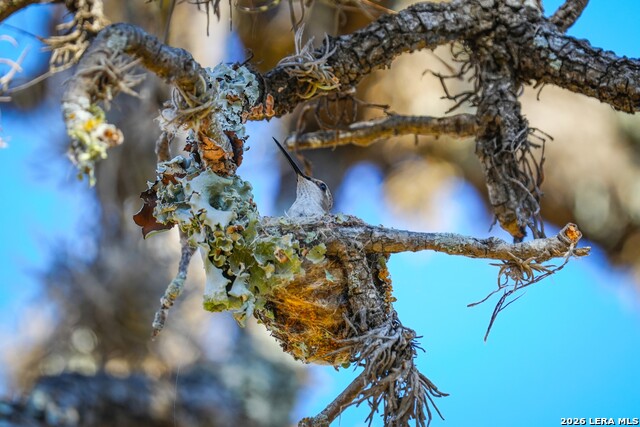 Image 21 of 43 For 348 Rocky Road