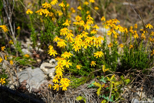 Image 22 of 43 For 348 Rocky Road