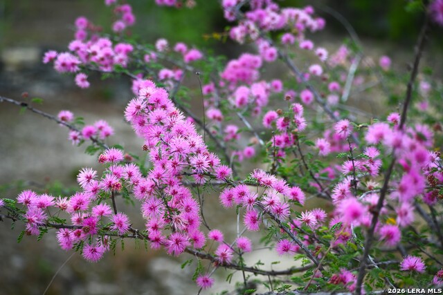 Image 23 of 43 For 348 Rocky Road