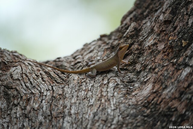 Image 24 of 43 For 348 Rocky Road