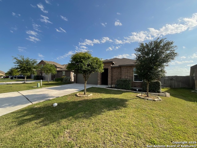 Image 2 of 17 For 2118 Silver Maple