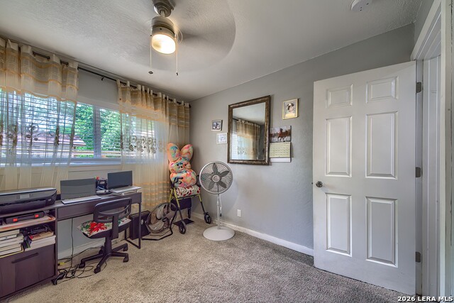 Image 17 of 31 For 4339 Bright Sun St