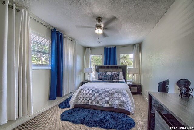 Image 27 of 31 For 4339 Bright Sun St