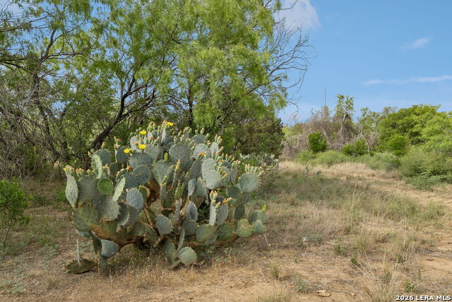 Image 10 of 26 For Tbd Ih 37 S