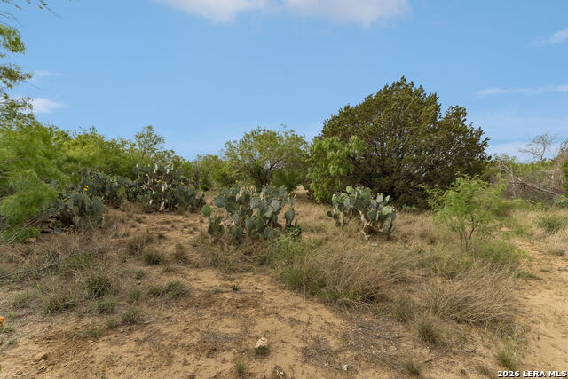 Image 11 of 26 For Tbd Ih 37 S