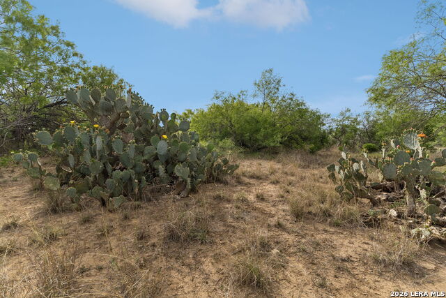 Image 12 of 26 For Tbd Ih 37 S