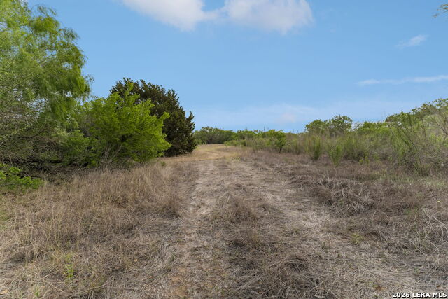 Image 13 of 26 For Tbd Ih 37 S