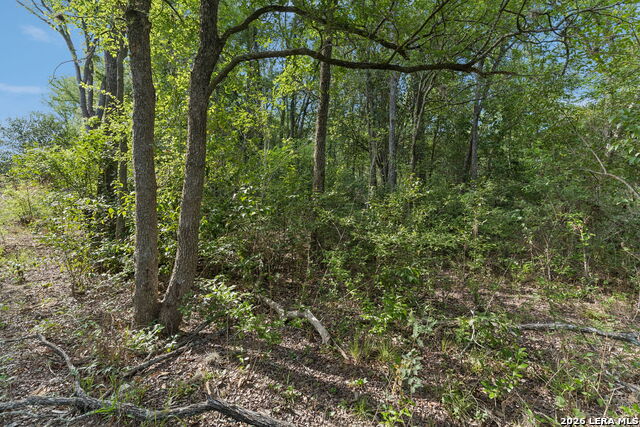 Image 18 of 26 For Tbd Ih 37 S