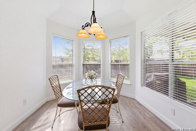 Image 15 of 43 For 248 Leather Leaf