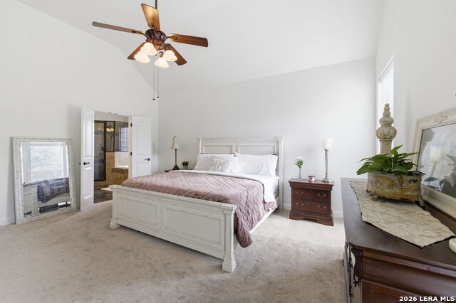 Image 20 of 43 For 248 Leather Leaf