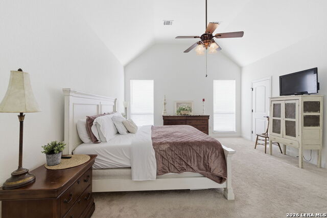 Image 21 of 43 For 248 Leather Leaf