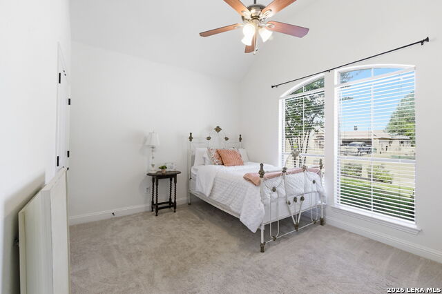 Image 24 of 43 For 248 Leather Leaf