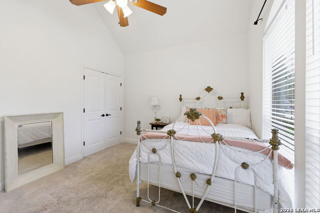 Image 25 of 43 For 248 Leather Leaf