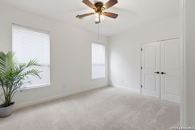 Image 26 of 43 For 248 Leather Leaf