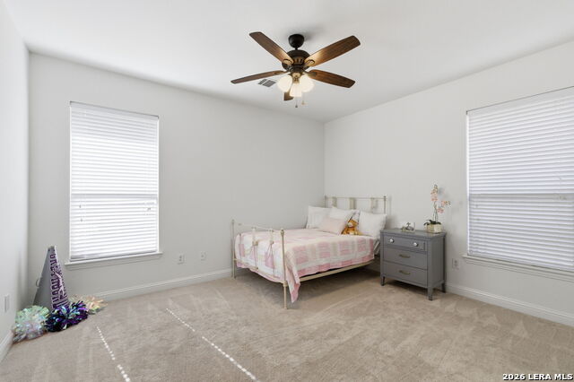 Image 30 of 43 For 248 Leather Leaf