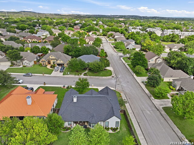 Image 43 of 43 For 248 Leather Leaf