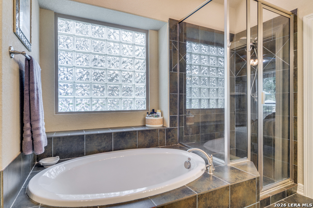 Image 15 of 25 For 1123 Saddle Horse