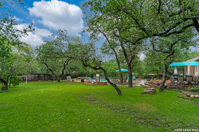 Image 24 of 25 For 1123 Saddle Horse