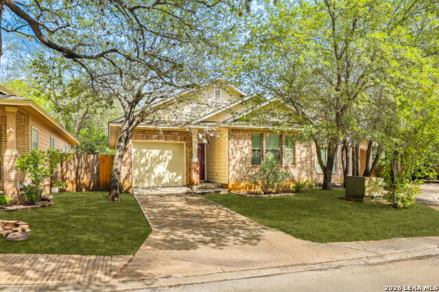 Image 2 of 26 For 6038 Pecan Tree