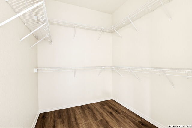 Image 21 of 26 For 6038 Pecan Tree