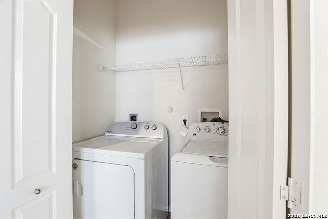 Image 22 of 26 For 6038 Pecan Tree