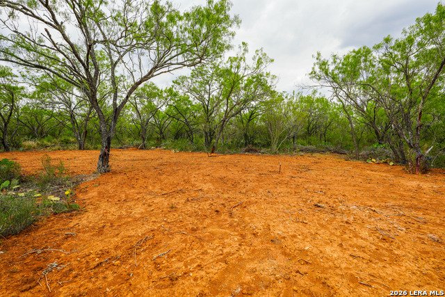 Image 14 of 22 For 16763 Fm 1333