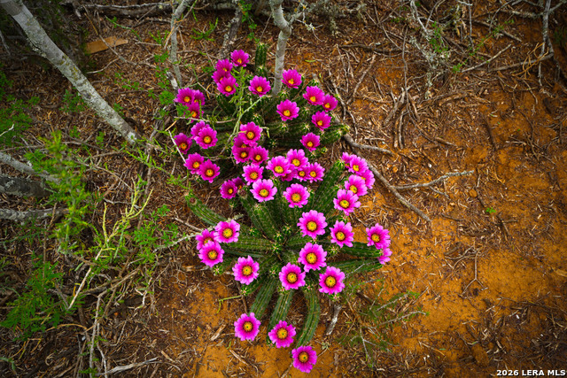 Image 15 of 22 For 16763 Fm 1333