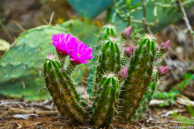 Image 16 of 22 For 16763 Fm 1333