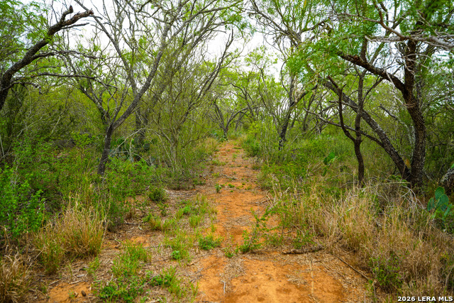 Image 21 of 22 For 16763 Fm 1333