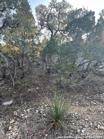 Listing photo id 2 for Lot 3 Forest Breeze Dr