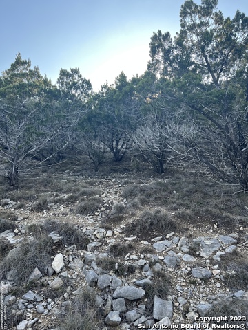 Listing photo id 3 for Lot 3 Forest Breeze Dr