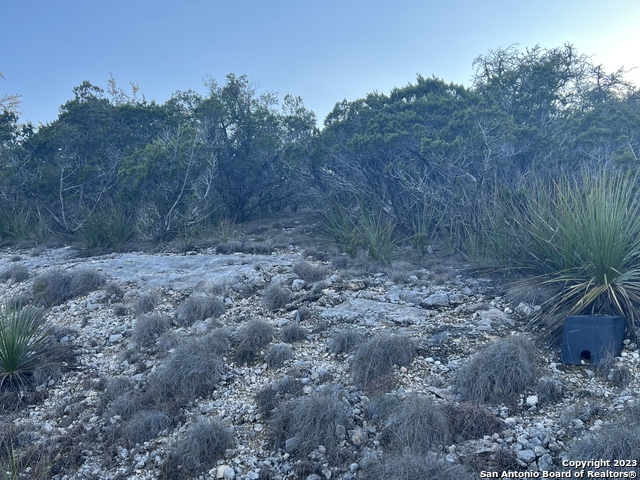 Listing photo id 6 for Lot 3 Forest Breeze Dr