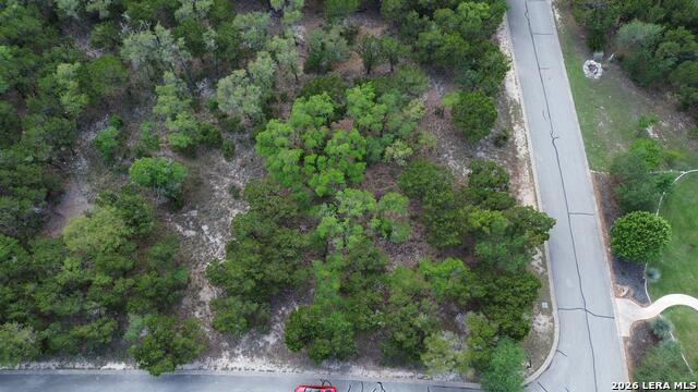 Image 10 of 10 For 11102 Caliza Bluff