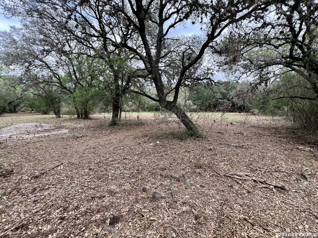 Listing photo id 8 for 0 Low Bid Ln