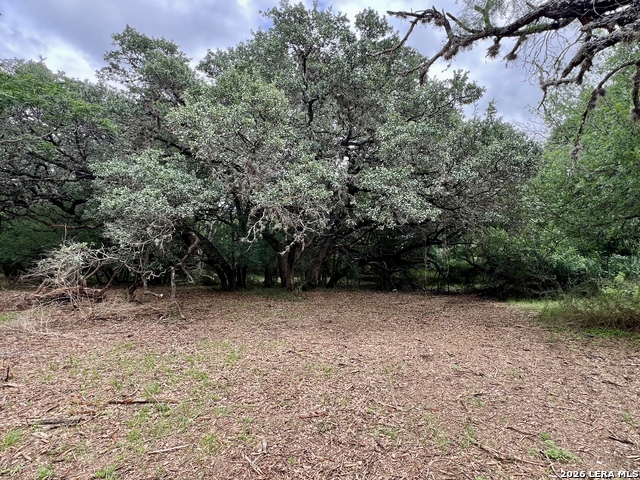 Listing photo id 9 for 0 Low Bid Ln