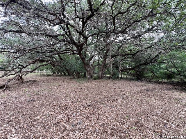 Listing photo id 10 for 0 Low Bid Ln