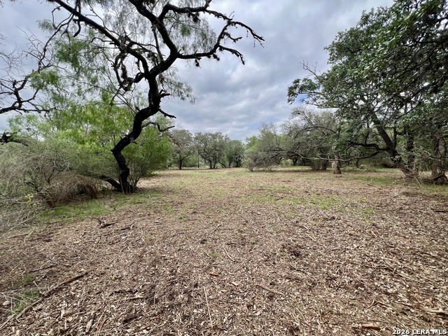 Listing photo id 11 for 0 Low Bid Ln