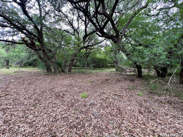 Listing photo id 12 for 0 Low Bid Ln