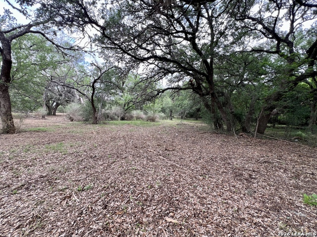 Listing photo id 13 for 0 Low Bid Ln