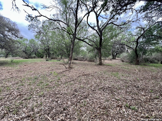 Listing photo id 14 for 0 Low Bid Ln