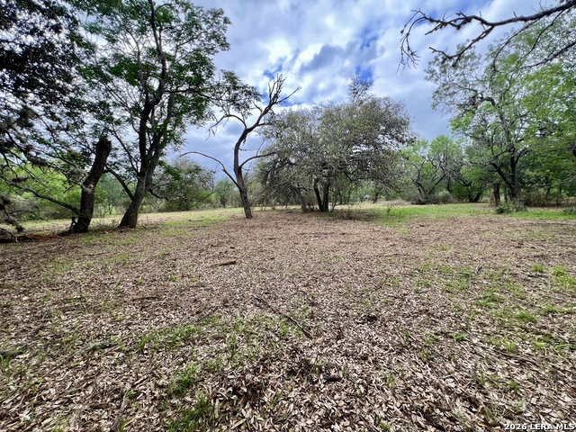 Listing photo id 15 for 0 Low Bid Ln