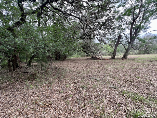 Listing photo id 16 for 0 Low Bid Ln