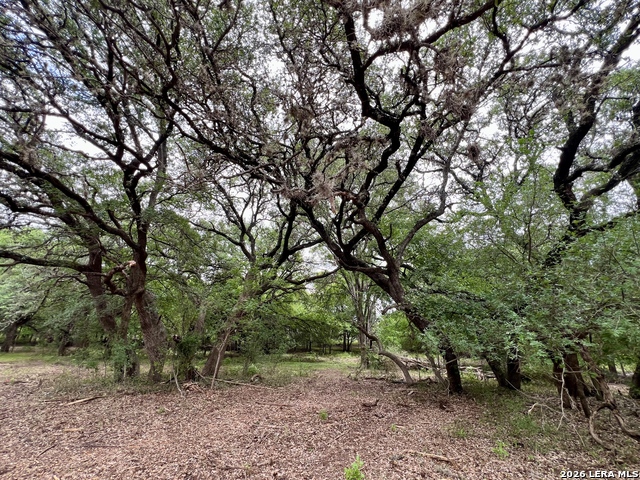 Listing photo id 17 for 0 Low Bid Ln