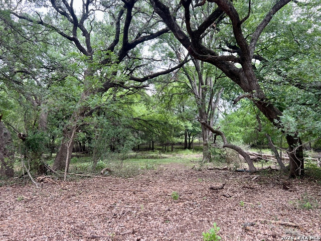 Listing photo id 18 for 0 Low Bid Ln