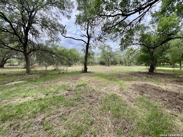 Listing photo id 20 for 0 Low Bid Ln