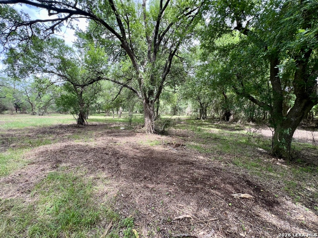 Listing photo id 21 for 0 Low Bid Ln