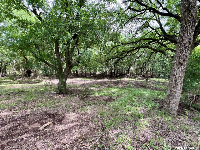 Listing photo id 22 for 0 Low Bid Ln